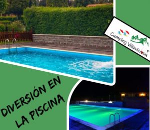 Lee más sobre el artículo Diversión y Seguridad en la Piscina